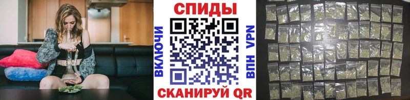 блэк спрут зеркало  Катав-Ивановск  БУТИРАТ оксана 