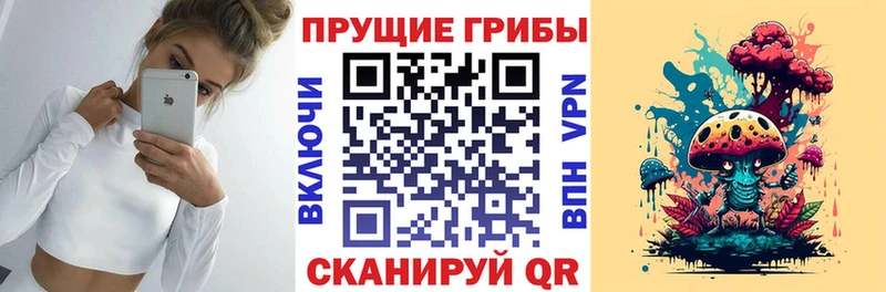 магазин продажи   Катав-Ивановск  Галлюциногенные грибы Magic Shrooms 